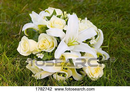 White rose and lily bouquet View Large Photo Image Stock Image - White rose and lily bouquet. Fotosearch
