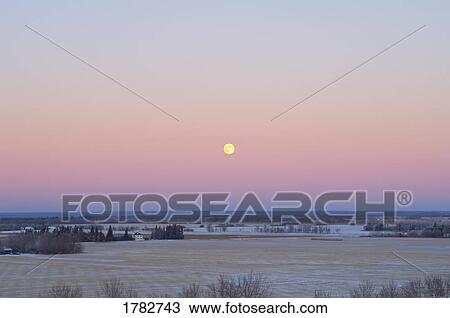 Winter prairie field View Large Photo Image Stock Image - Winter prairie field. Fotosearch