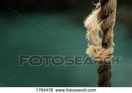 A ripping rope View Large Photo Image Stock Photo - A ripping rope. Fotosearch