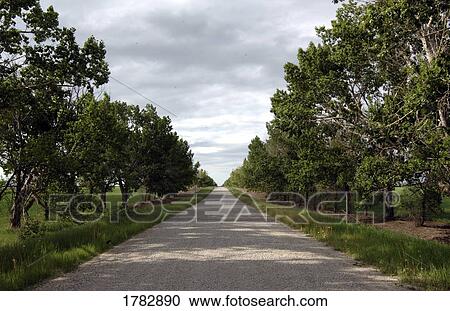 Stock Image - A straight road. Fotosearch