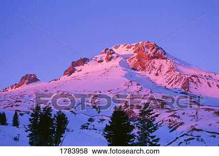 Alpenglow on Mount Hood, Mount Hood National Forest View Large Photo Image Stock Photo - Alpenglow on Mount Hood, Mount Hood National Forest. Fotosearch