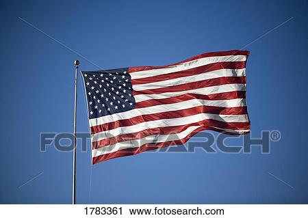 American Flag View Large Photo Image Stock Image - American Flag. Fotosearch