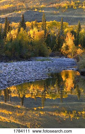 Stock Image - Autumn reflections. Fotosearch