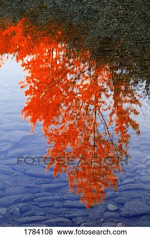 Stock Photo - Autumn reflections. Fotosearch