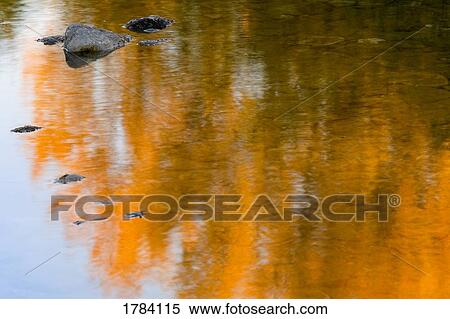 Stock Photography - Autumn reflections. Fotosearch