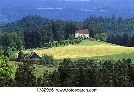 Black Forest, Germany View Large Photo Image Stock Photograph - Black Forest, Germany. Fotosearch