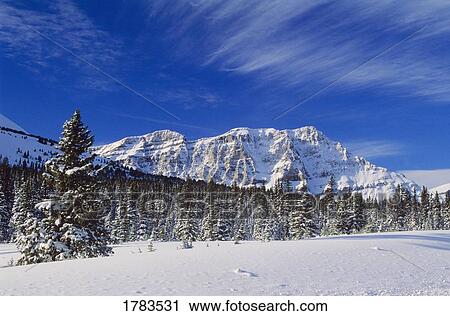 Stock Image - Bow Summit, Banff National Park. Fotosearch