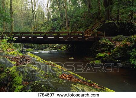 Bridge in forest scene View Large Photo Image Stock Photo - Bridge in forest scene. Fotosearch