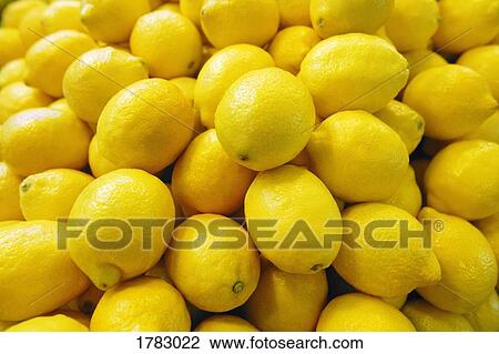 Bunch of lemons View Large Photo Image Stock Image - Bunch of lemons. Fotosearch