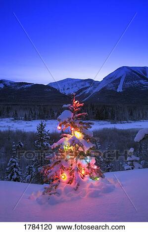 Christmas in the Rockies View Large Photo Image Stock Image - Christmas in the Rockies. Fotosearch