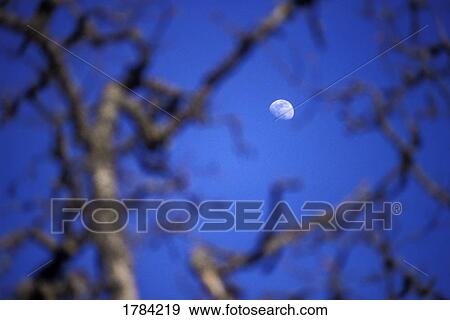 Stock Photo - Clear view of the moon.. Fotosearch