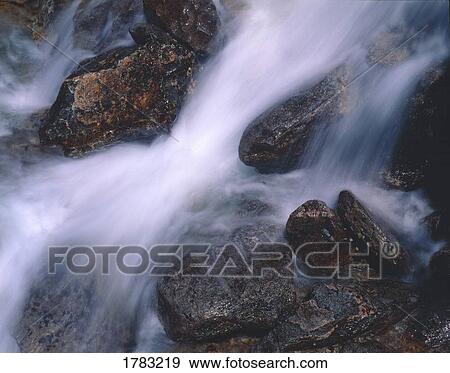 Close-up of white water in a stream View Large Photo Image Stock Photo - Close-up of white water in a stream. Fotosearch