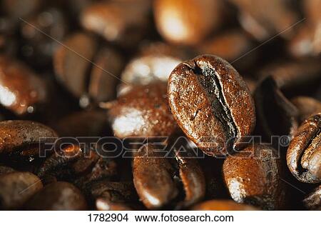 Closeup of coffee beans View Large Photo Image Picture - Closeup of coffee beans. Fotosearch