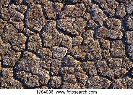 Crack detail, Alvord Desert terrain View Large Photo Image Stock Photograph - Crack detail, Alvord Desert terrain. Fotosearch