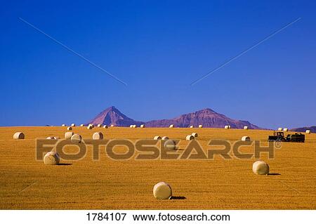 Fall harvest in the foothills View Large Photo Image Stock Photo - Fall harvest in the foothills. Fotosearch