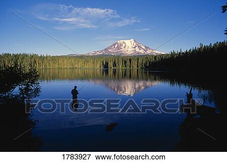 Fisherman in Takhlakh Lake with reflection of distant Mount Adams. View Large Photo Image Stock Photo - Fisherman in Takhlakh Lake with reflection of distant Mount Adams.. Fotosearch