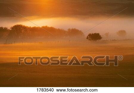 Foggy Sunrise View Large Photo Image Stock Image - Foggy Sunrise. Fotosearch