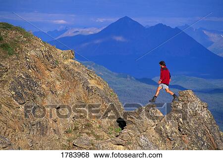 Hiker on Mount Healy, distant mountains, Denali National Park View Large Photo Image Stock Photo - Hiker on Mount Healy, distant mountains, Denali National Park. Fotosearch