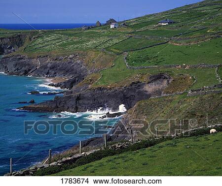 Irish landscape of stone walls and farms along sea coast View Large Photo Image Picture - Irish landscape of stone walls and farms along sea coast. Fotosearch