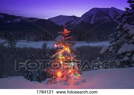 Stock Image - Lit Christmas tree in the mountains. Fotosearch