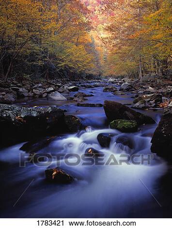 Little River cascades and autumn colors, Great Smoky Mountains National Park View Large Photo Image Stock Image - Little River cascades and autumn colors, Great Smoky Mountains National Park. Fotosearch