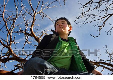 Stock Photography - Low angle of boy in tree. Fotosearch