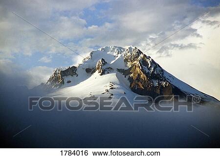 Stock Photograph - Mount Hood National Forest. Fotosearch