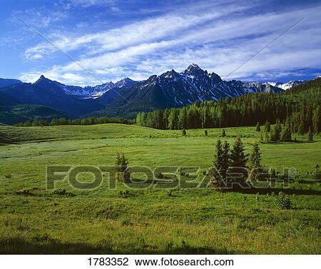 Mountain meadows, Mount Sneffels, Uncompaghre National Forest View Large Photo Image Stock Image - Mountain meadows, Mount Sneffels, Uncompaghre National Forest. Fotosearch