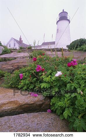 Picture - Pemaquid Point Lighthouse. Fotosearch