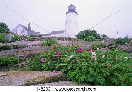 Stock Image - Pemaquid Point Lighthouse. Fotosearch