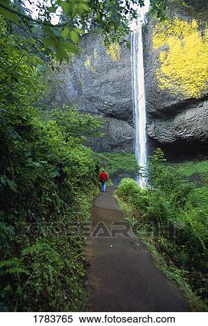 Stock Photography - Person on path, Latourell Falls, Columbia Gorge. Fotosearch