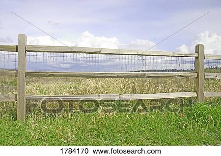 Post and rail fence along a meadow View Large Photo Image Stock Image - Post and rail fence along a meadow. Fotosearch