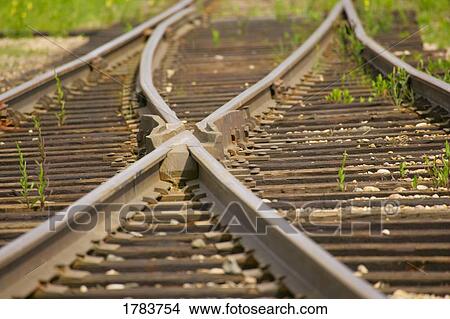 Railroad tracks View Large Photo Image Picture - Railroad tracks. Fotosearch