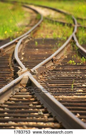 Stock Image - Railroad tracks that merge off into different paths. Fotosearch