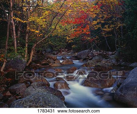 Roaring Brook, autumn colors, Baxter State Park View Large Photo Image Stock Image - Roaring Brook, autumn colors, Baxter State Park. Fotosearch