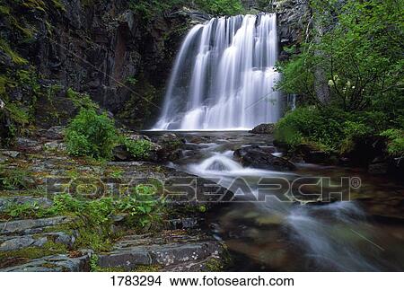 Picture - Rockwell Falls, Glacier National Park. Fotosearch