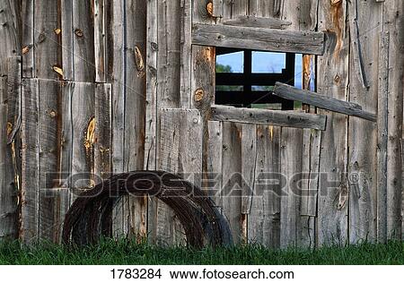 Picture - Roll of barbed wire on weathered barn. Fotosearch