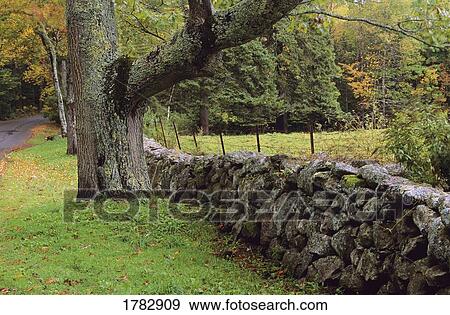 Rural scenic with stone fence View Large Photo Image Stock Photo - Rural scenic with stone fence. Fotosearch