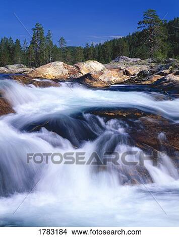 Rushing Norwegian stream, Telemark Region View Large Photo Image Picture - Rushing Norwegian stream, Telemark Region. Fotosearch