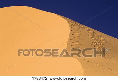 Stock Image - Sand dune. Fotosearch