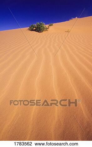 Sand Dunes View Large Photo Image Stock Image - Sand Dunes. Fotosearch