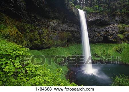Silver Falls State Park. View Large Photo Image Stock Photo - Silver Falls State Park.. Fotosearch