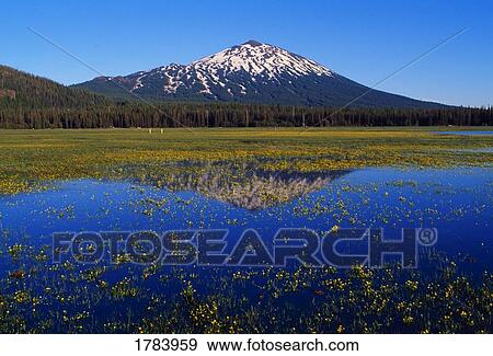Stock Photo - Sparks Lake, Mount Bachelor reflection. Fotosearch