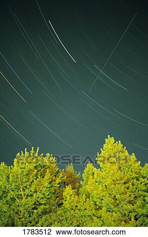 Stock Image - Star Trails. Fotosearch