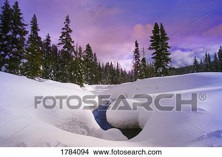 Stream in forest in winter View Large Photo Image Picture - Stream in forest in winter. Fotosearch