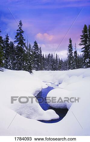 Stream through forest in winter View Large Photo Image Stock Image - Stream through forest in winter. Fotosearch