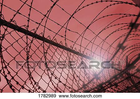 Sun shining through barbed wire fence View Large Photo Image Stock Photo - Sun shining through barbed wire fence. Fotosearch
