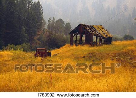 Tall grass, abandoned homestead with truck, in autumn mist View Large Photo Image Stock Image - Tall grass, abandoned homestead with truck, in autumn mist. Fotosearch
