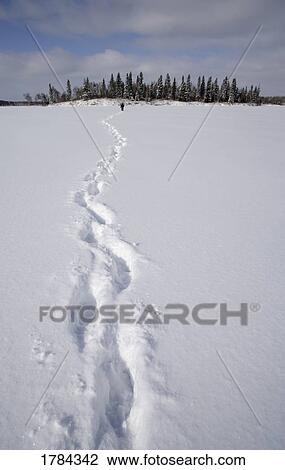 Tracks in snow View Large Photo Image Stock Image - Tracks in snow. Fotosearch