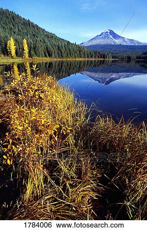 Stock Photograph - Trillium Lake with reflected Mount Hood, autumn, Mount Hood National Forest. Fotosearch